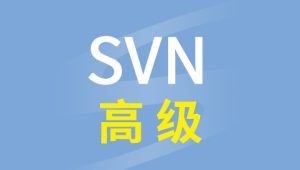 硅谷SVN高级视频