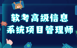 野人软考高项2025